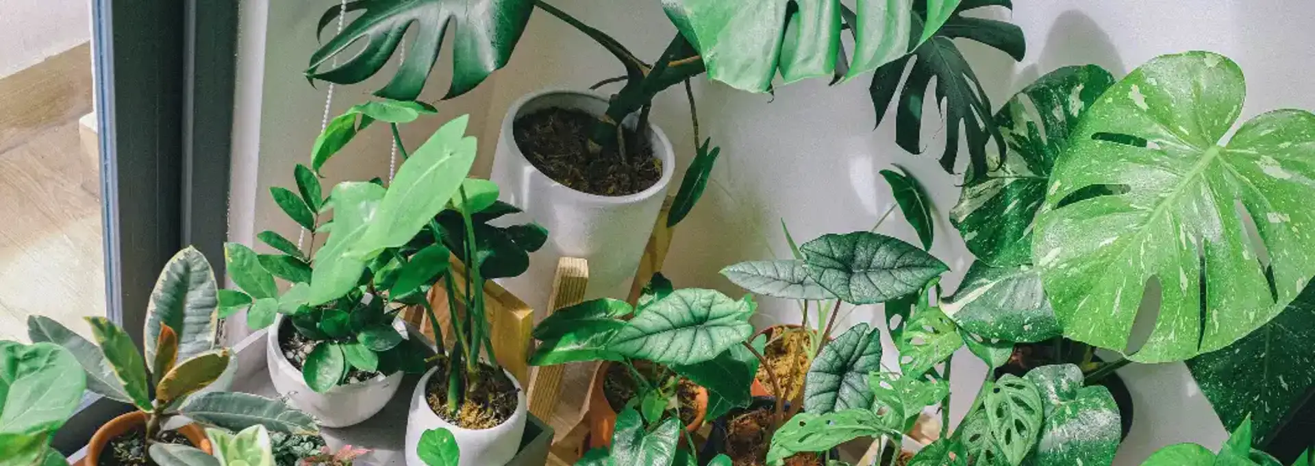Worried about the air quality inside your home? Tr...